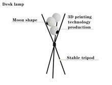 Load image into Gallery viewer, 3D Printing Moon Floor Lamp