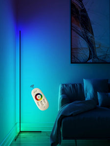 Remote Control RGB Corner Floor Lamp