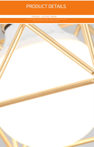 Modern LED Minimalist  Metal Cage Pendant Lamp Iron Gold Black