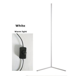 Remote Control RGB Corner Floor Lamp