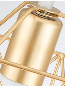 Modern LED Minimalist  Metal Cage Pendant Lamp Iron Gold Black