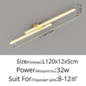 Long Aisle Corridor Luxury LED Ceiling Light