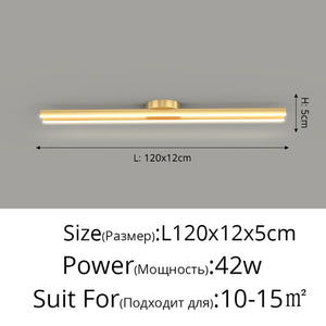 Long Aisle Corridor Luxury LED Ceiling Light