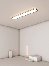 Load image into Gallery viewer, Aisle Balcony Corridor Porch Nordic Led Ceiling Lamp Lights