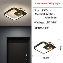 Load image into Gallery viewer, Human PIR Motion Sensor LED Ceiling Lamp for Bedroom Corridor