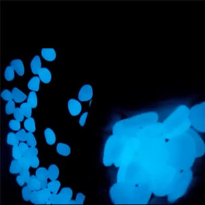 Glow in the Dark Garden (50Pcs)