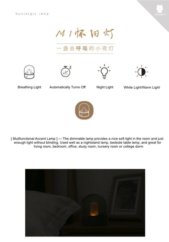 Image of Asher - Glass Dome Desk Lamp