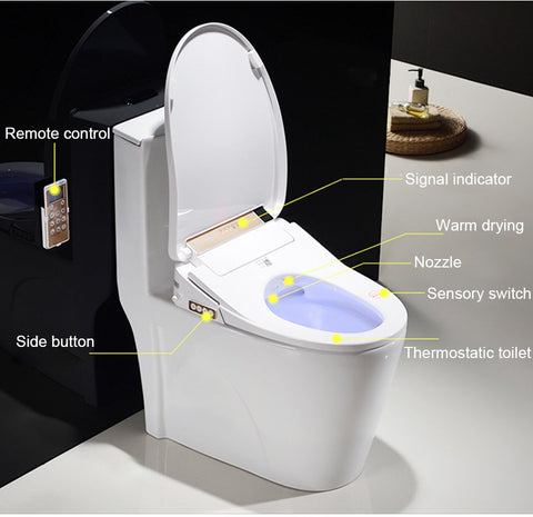 Image of Intelligent Toilet Seat
