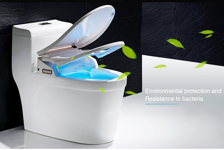 Intelligent Toilet Seat
