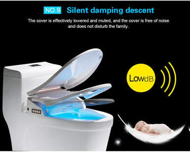 Intelligent Toilet Seat