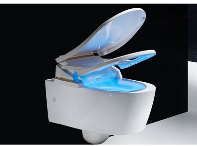 Intelligent Toilet Seat