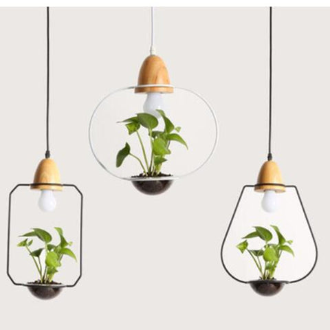 Image of Zox - Modern Nordic Iron Pendant Planter Lamp