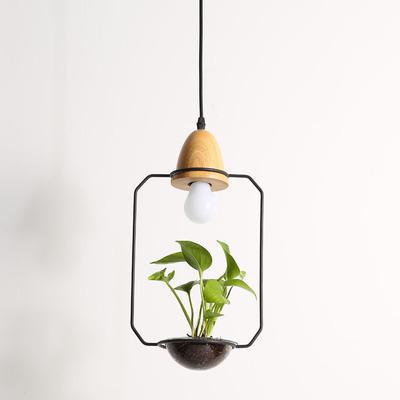 Image of Zox - Modern Nordic Iron Pendant Planter Lamp