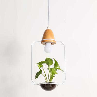 Image of Zox - Modern Nordic Iron Pendant Planter Lamp