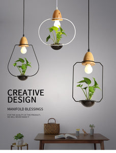 Zox - Modern Nordic Iron Pendant Planter Lamp