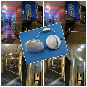 Outdoor Waterproof Light