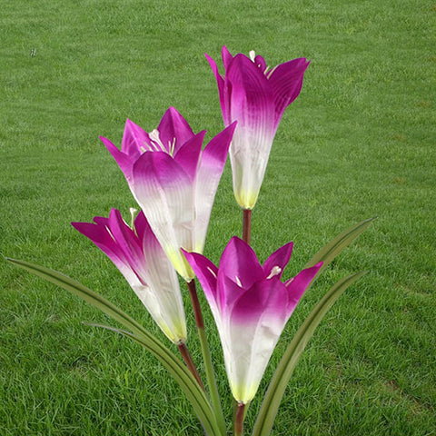 Image of White/Purple Flower Led