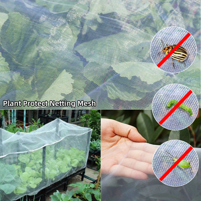 Big Mesh Plant Protection