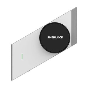 Smart Stick lock Electronic Door
