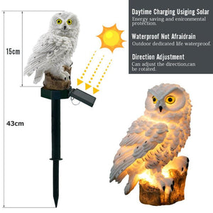 Solar Light Waterproof