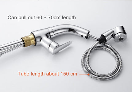 Pull Out Bathroom Sink Faucet