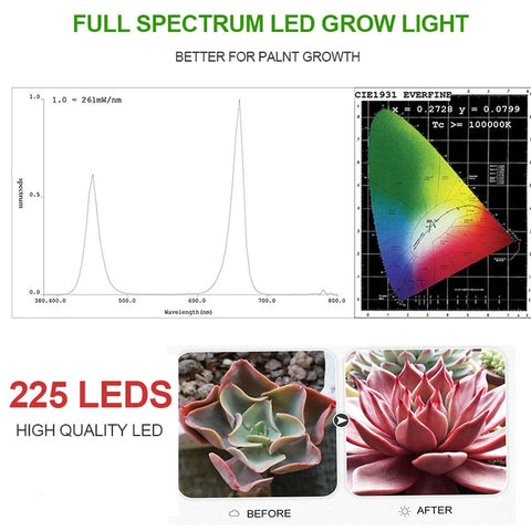 Image of Sun Lamp For Plants