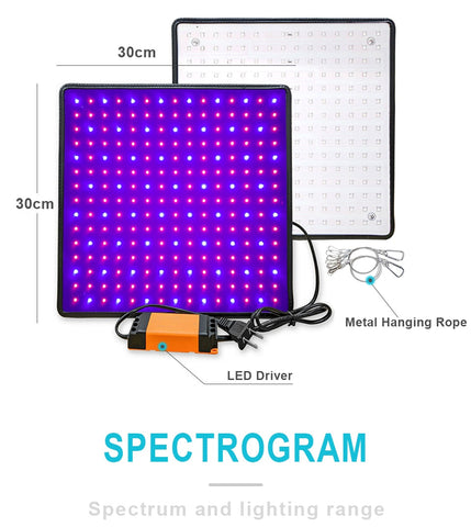 Image of Sun Lamp For Plants