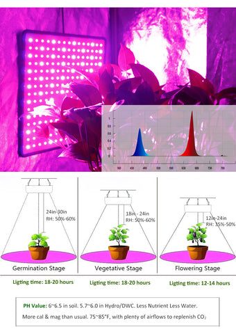 Image of Sun Lamp For Plants
