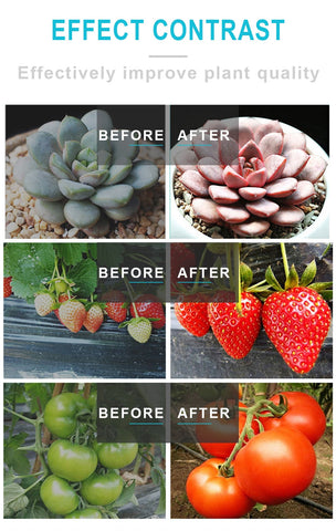 Image of Sun Lamp For Plants