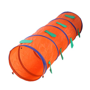 Tunnel Outdoor Play Game Kids