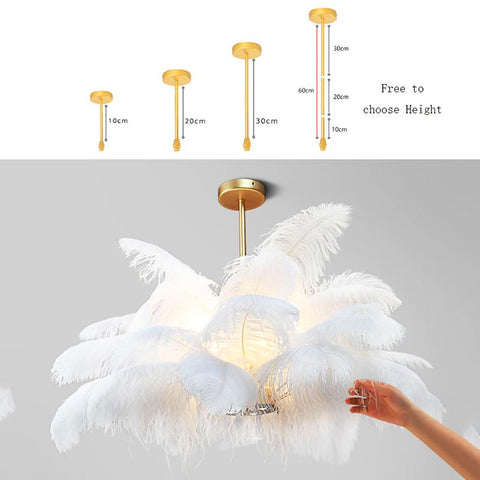Image of Multi-Feather Chandelier Light