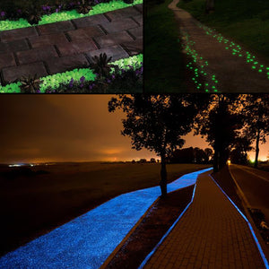 Glow in the Dark Garden (50Pcs)