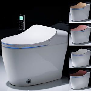 Intelligent Toilet - Remote Controlled