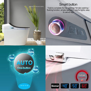Intelligent Toilet - Remote Controlled
