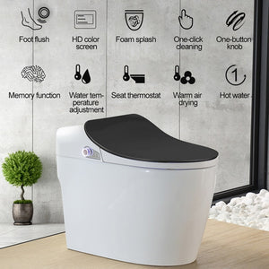 Intelligent Toilet - Remote Controlled