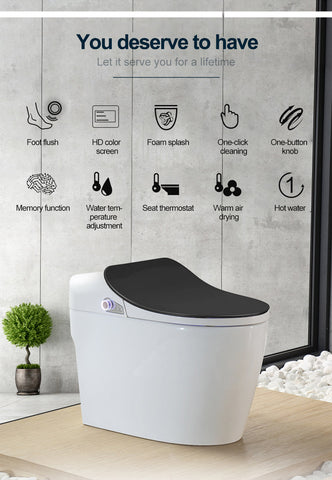 Image of Intelligent Toilet - Remote Controlled