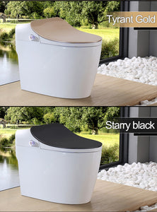 Intelligent Toilet - Remote Controlled