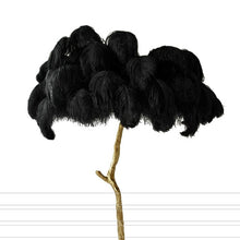 Load image into Gallery viewer, Modern Luxury Ostrich Feather  Lamp