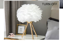 Load image into Gallery viewer, Goose Feather Led Table Lamps