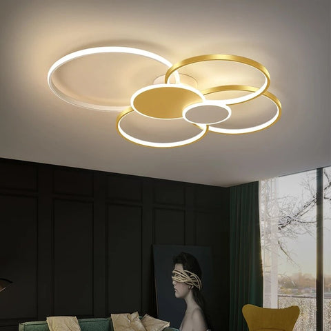Image of Ceiling Lights for Living Room Bedroom