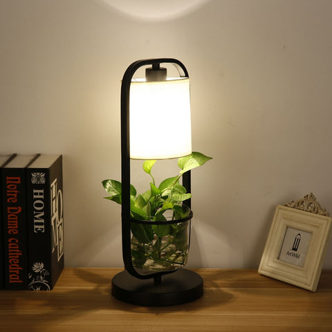 Image of Augustus - Frame Planter LED Desk Lamp