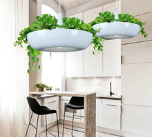 Load image into Gallery viewer, Mauricio - Modern Planter Lampshade