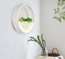 Load image into Gallery viewer, Maximus - Round Metal Wall Mounted Planter Lamp