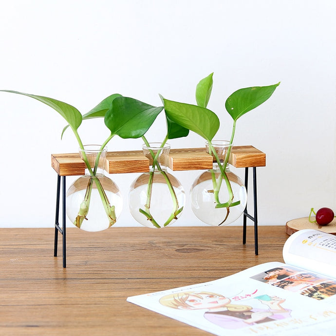 Glass Bottle Vase Hydroponic Plant Transparent Vase Wooden Frame Coffee Shop Room Decor Table Desk Decoration Vase terrarium