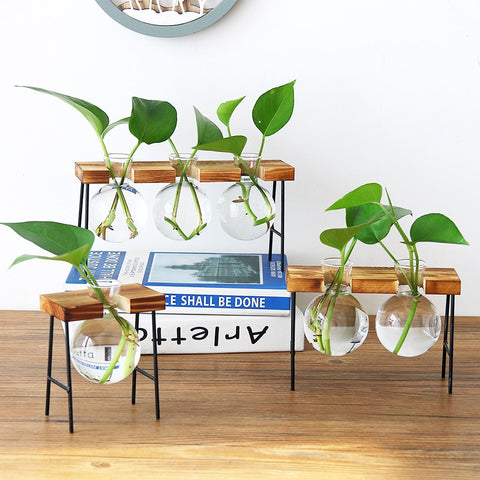 Image of Glass Bottle Vase Hydroponic Plant Transparent Vase Wooden Frame Coffee Shop Room Decor Table Desk Decoration Vase terrarium