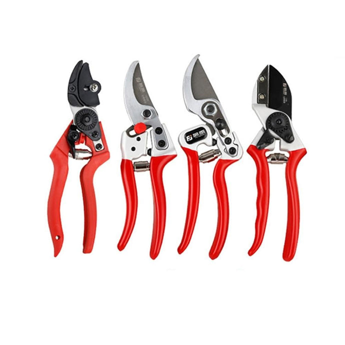 Best Pruning Shears for Fruit Trees