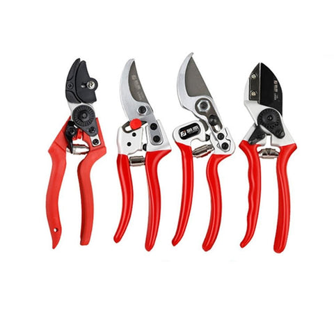 Image of Best Pruning Shears for Fruit Trees